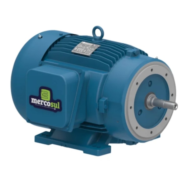 Motor Elétrico Trifásico 1/2 CV Carcaça 71L 4 Polos-4cdceaee-52bf-4c08-966a-c6c76b9120d9